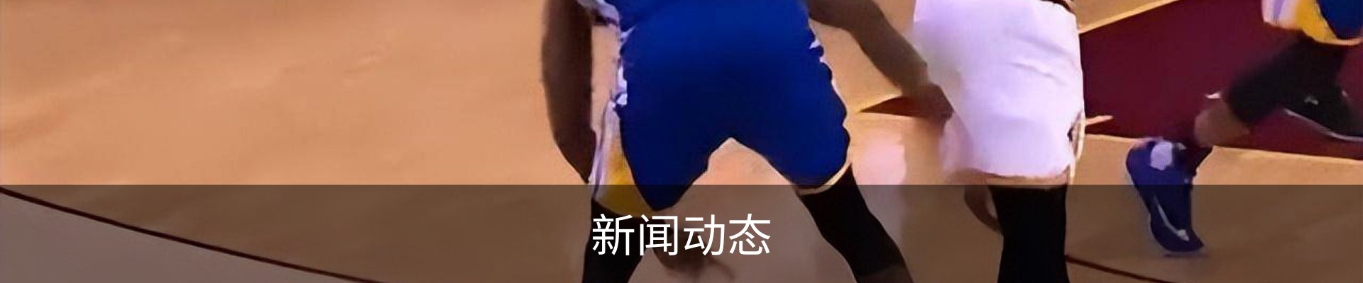 新闻动态
