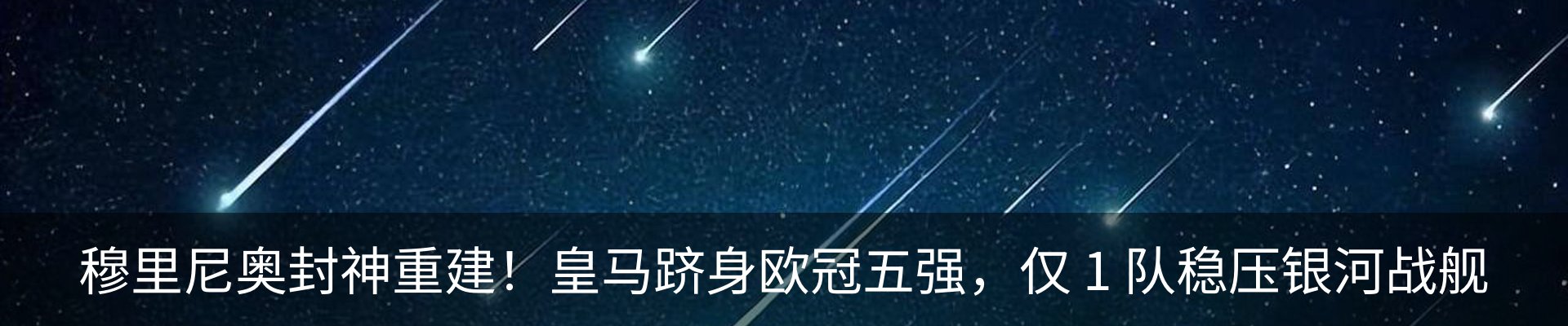 新闻动态