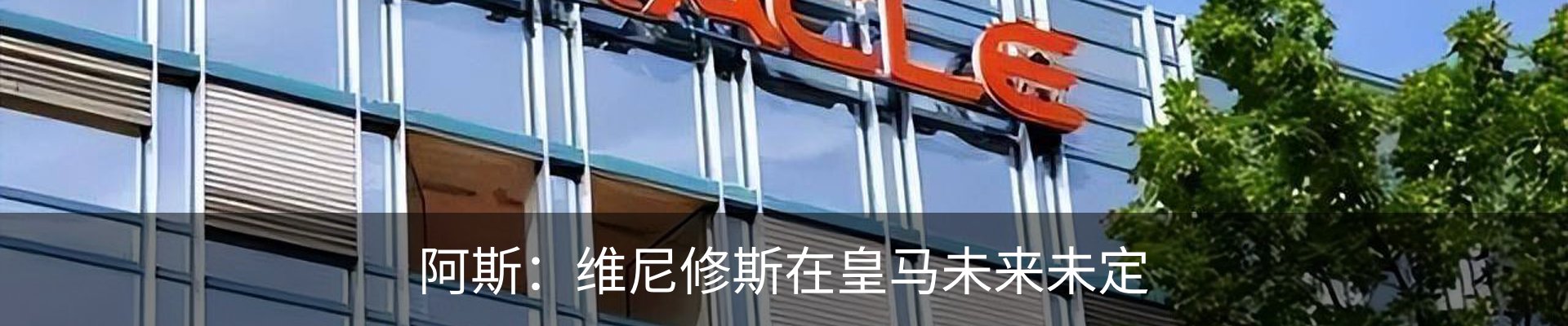 新闻动态