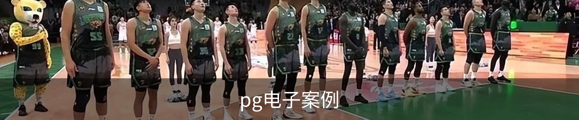 pg电子案例